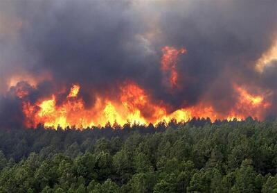 آتش‌سوزی وحشتناک جنگل‌ها در چین