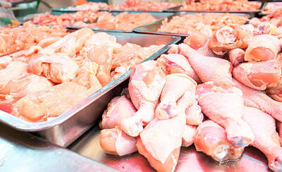 پیش بینی جدید درباره قیمت مرغ