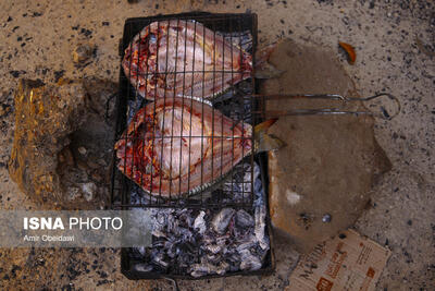 جشنواره طبخ ماهی قزل‌آلا در ماهنشان برگزار می‌شود