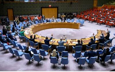 نشست شورای امنیت برگزار شد/ کشورهای غربی همچنان کورند