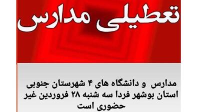 مدارس و دانشگاه‌های مناطق جنوبی بوشهر غیرحضوری شد