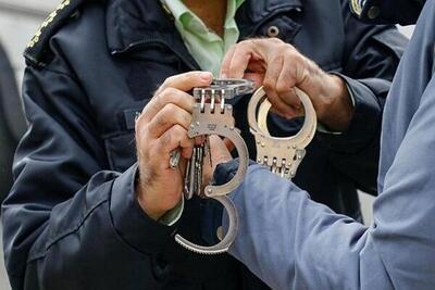 دستبند پلیس اسفراین بر دستان سارقان احشام | شبکه اطلاع‌ رسانی طلا و ارز