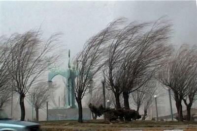 تصاویری از له شدن یک خودروی ایرانی توسط درخت