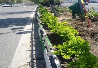 اجرای طرح شناسایی باغچه‌های‌آلوده حاشیه معابر شهری در دستورکارمنطقه ۶ تهران است