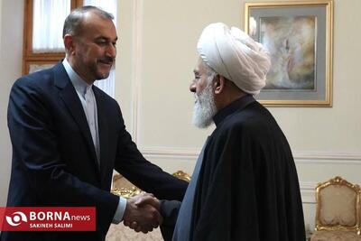 دیدار امیرعبداللهیان با نائب رییس مجلس اعلای شیعیان لبنان