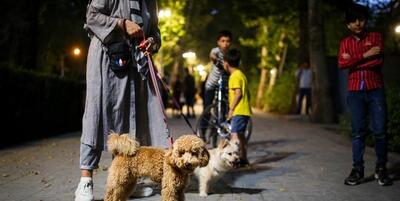 شهرداری تهران: ورود حیوانات خانگی به بوستان‌ها ممنوع است