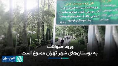 ورود حیوانات به بوستان‌های شهر تهران ممنوع است
