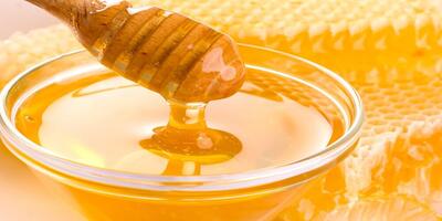 سه فایده فوق‌العاده عسل | اقتصاد24
