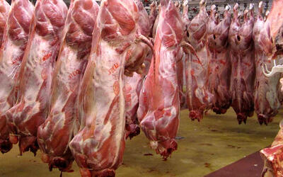 فوری / قیمت گوشت گوسفندی اعلام شد