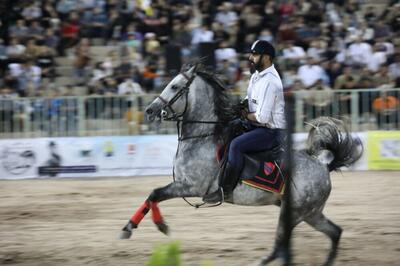 نمایش اسب‌های اصیل ایران