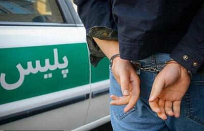 دستگیری اراذل و اوباش بی‌ام‌و سوار خیابان اندرزگو