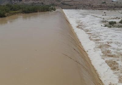 کنگان با 50 میلی‌متر رکورددار بارش‌های استان بوشهر - تسنیم