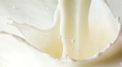 خاصیت شیر خوشمزه و سفید رنگ بز + ویدیو - اندیشه معاصر
