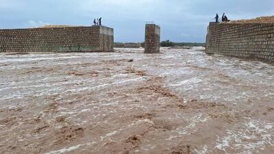 قطع برق ۲۲۸ روستای سیستان و بلوچستان بر اثر سیلاب