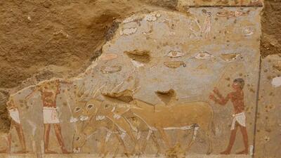 کشف دیوارنگاره های رنگی 4300 ساله در مصر