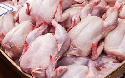 قیمت گوشت مرغ در بازار امروز ۲۹ فروردین ۱۴۰۳