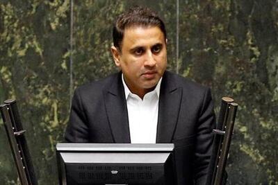 نقوی حسینی: مقدرات مجلس آینده در اختیار «پشم» است