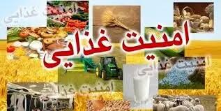 تلاش برای گسترش تولید نان کامل در استان زنجان