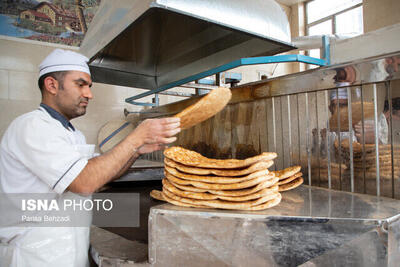 تولید نان کامل در ۶ نانوایی شهر زنجان
