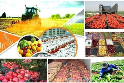 سالانه ۱۲۰ میلیون دلار محصولات کشاورزی استان قزوین صادر شود