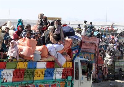 اخراج 277 نفر با آغاز مرحله دوم اخراج پناهجویان از پاکستان - تسنیم