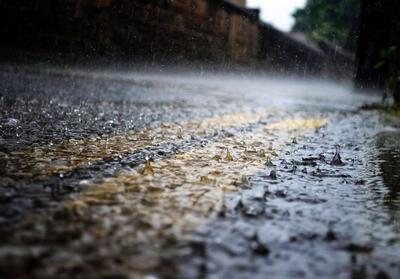 بارش باران در جاده‌های 9 استان - تسنیم
