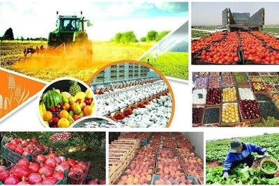 صادرات سالانه ۱۲۰ میلیون دلار محصولات کشاورزی در قزوین | شبکه اطلاع‌ رسانی طلا و ارز