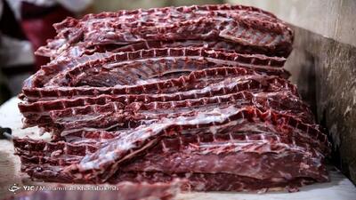 واردات روزانه ۲۰۰ تن گوشت گرم به کشور/ منتظر افزایش واردات باشید | شبکه اطلاع‌ رسانی طلا و ارز