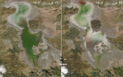 عکس‌های دل نواز از حال خوب دریاچه ارومیه | اقتصاد24