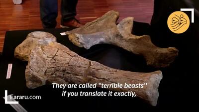 (ویدئو) کشف گنج چند میلیون ساله توسط دو دانش آموز ابتدایی