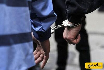 دستگیری اراذل و اوباش BMW سوار در بلوار اندرزگو