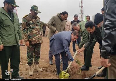تاکید وزیر جهاد کشاورزی بر اجرای کاشت یک میلیارد درخت - تسنیم