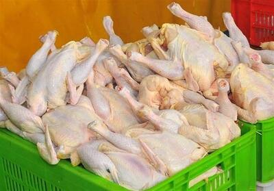 پیش‌بینی تولید 100 هزار تن گوشت مرغ در لرستان - تسنیم