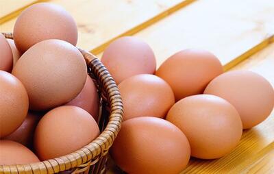 قیمت تخم مرغ امروز ۳۱ فروردین ۱۴۰۳+ جدول | اقتصاد24