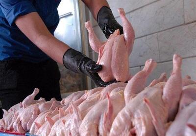 ریزش قیمت مرغ بعد از تعطیلات عید نوروز | مرغ کیلویی چند؟