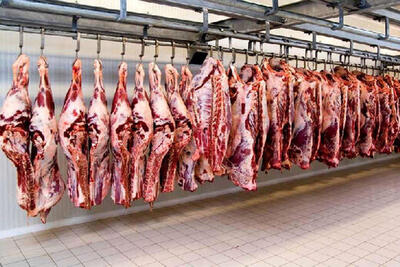 برنامه دولت برای تأمین گوشت قرمز در سفره مردم - شهروند آنلاین
