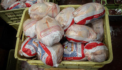 کاهش قیمت مرغ بعد از تعطیلات نوروز