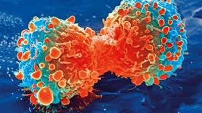 این ماده پروتئینی تومور‌های سرطانی را ضربه فنی می‌کند