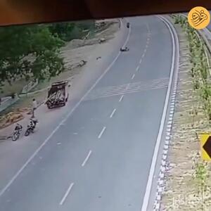 (ویدئو) مرگ دلخراش یک موتورسوار در برخورد با نیلی‌گاو