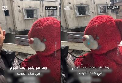 (ویدئو) داستان عجیب نجات یک خرس عروسکی از دو جنگ در غزه