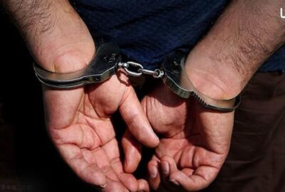 دستگیری متهم به کلاهبرداری 140میلیارد ریالی در چرداول - تسنیم