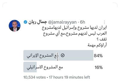 حمایت اکثریت عرب‌ها از طرح ایران در حمایت از مقاومت - تسنیم