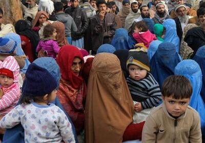 اعلام آمادگی چین برای کمک به پناهجویان اخراج شده از پاکستان - تسنیم