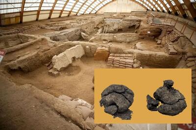 ببینید| قدیمی‌ترین نان جهان با قدمتی بیش از ۸۰۰۰ سال در ترکیه کشف شد