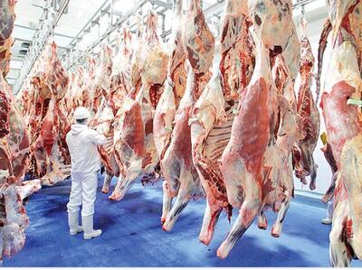 وضعیت عجیب در بازار گوشت/ فروش گوسفند با کارت ملی سوژه شد! - عصر خبر