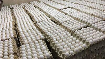 صادرات ۱۳۶ هزار تن تخم مرغ در سال گذشته