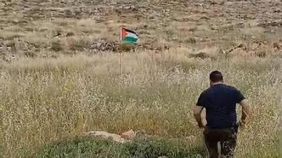 پرچم فلسطین یک اسرائیلی را زخمی کرد