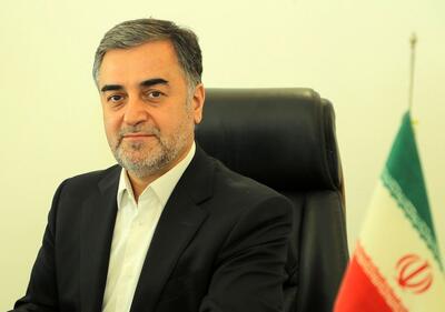 سید محمود حسینی پور رئیس دبیرخانه ستاد هماهنگی مبارزه با مفاسد اقتصادی شد