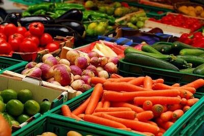 افزایش ۲۲.۵ درصدی صادرات محصولات غذایی و کشاورزی ایران در سال ۱۴۰۲