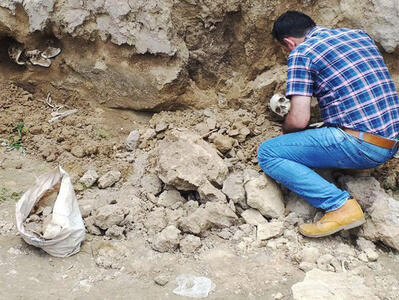 نخستین پژوهش دانشگاهی در حوزه باستان‌شناسی جنایی در دانشکده ادبیات دانشگاه تهران